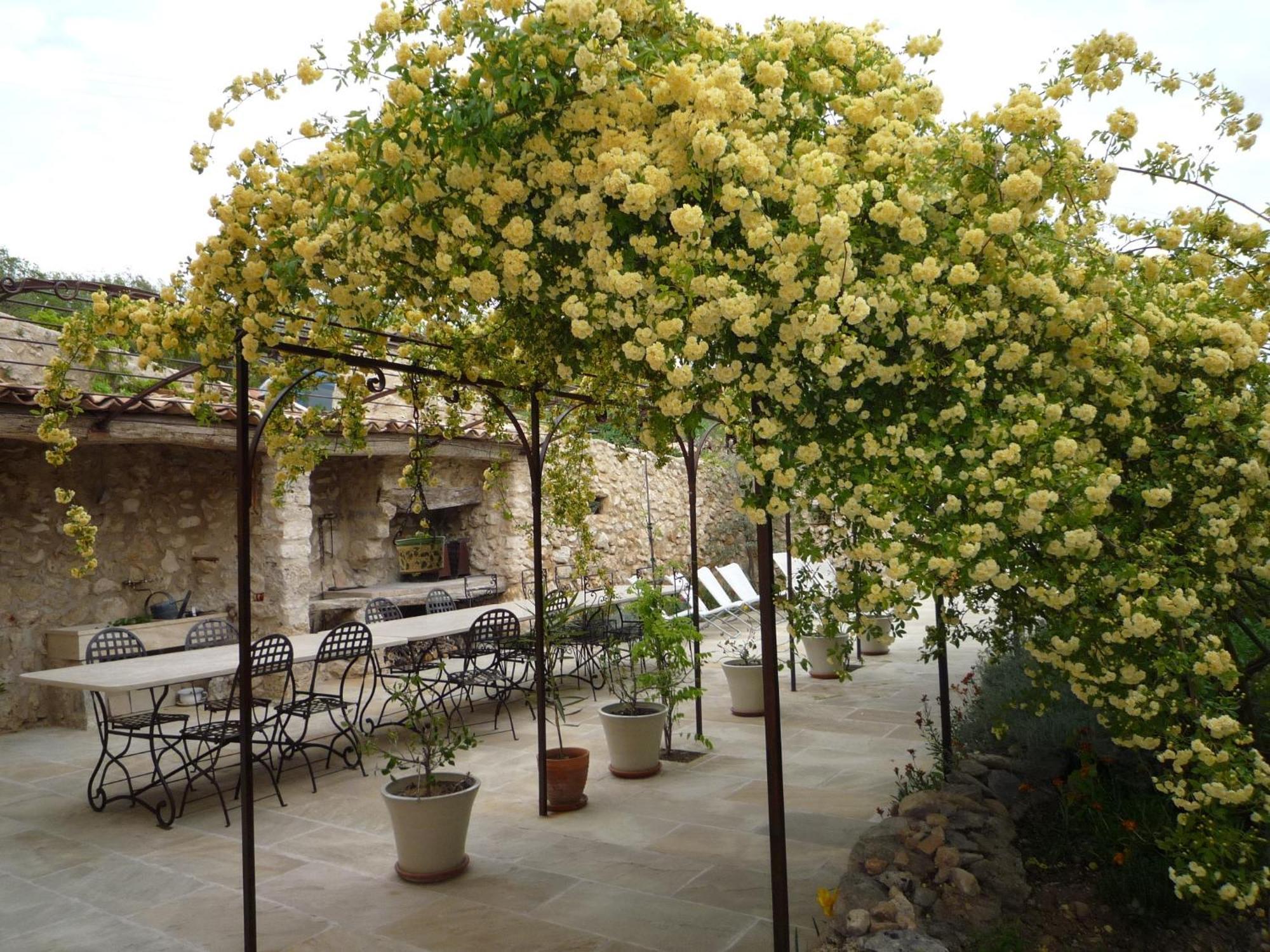 La Ferme Du Petit Segries Bed And Breakfast Moustiers-Sainte-Marie Dış mekan fotoğraf