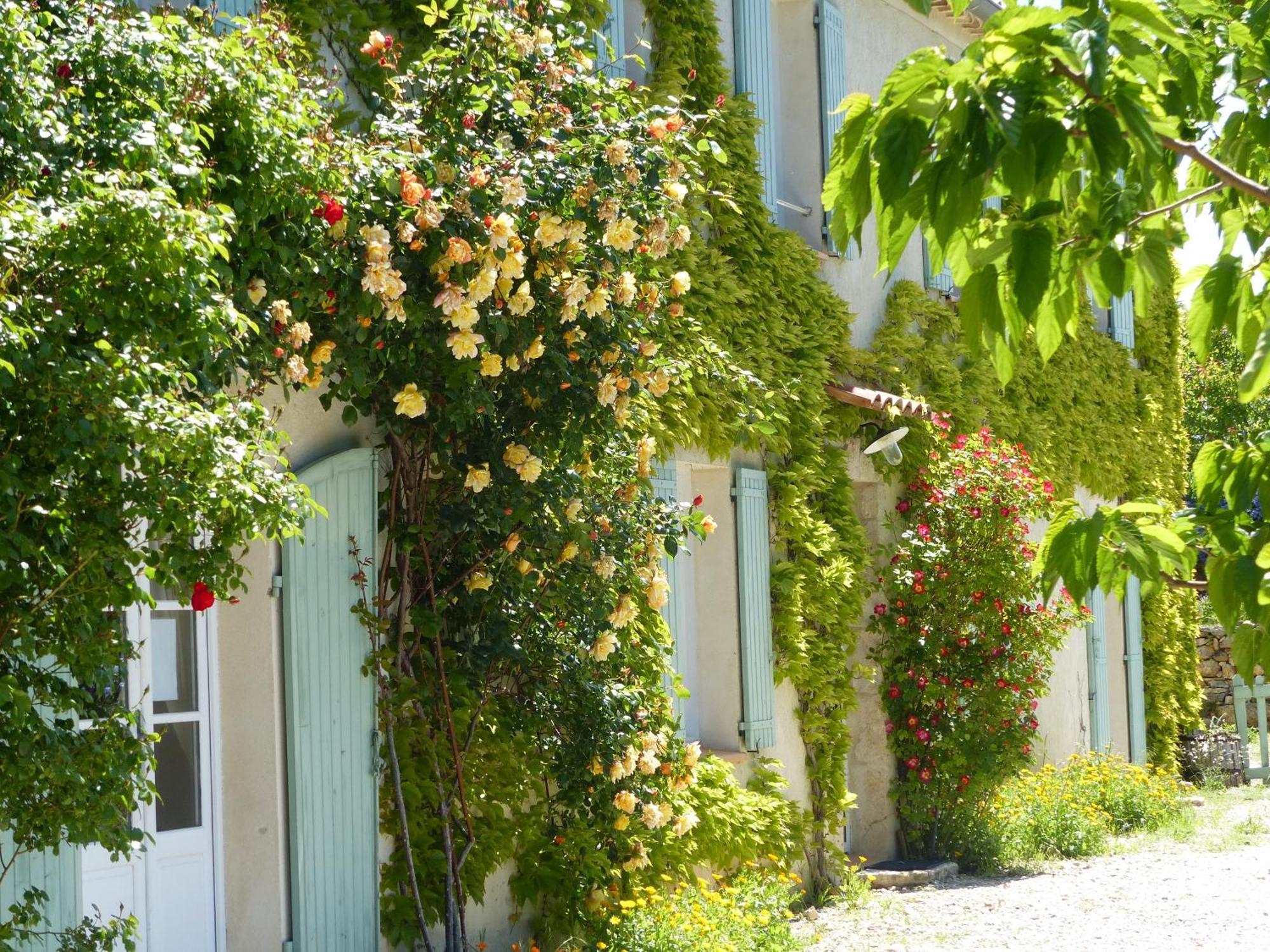 La Ferme Du Petit Segries Bed And Breakfast Moustiers-Sainte-Marie Oda fotoğraf